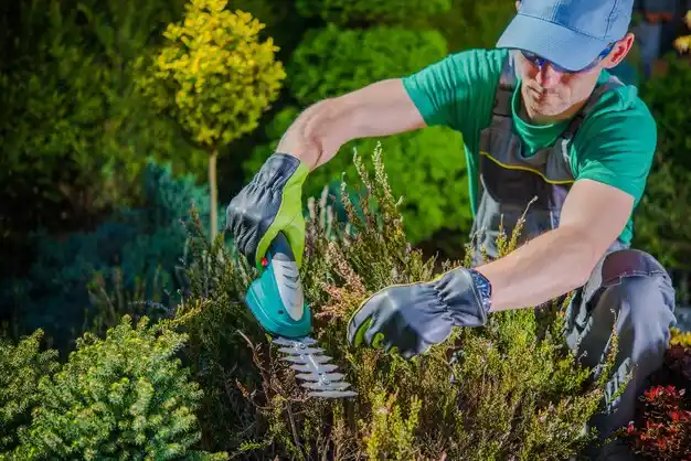 landscaping services Bradford